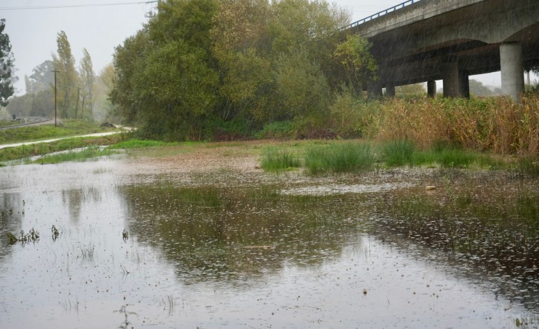 derrame-de-hidrocarbonetos-mantem-estrada-cortada-em-valado-dos-frades-nazare