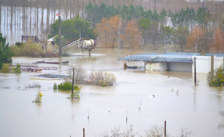 leiria-avanca-com-plano-de-accao-para-se-adaptar-as-mudancas-do-clima-6762