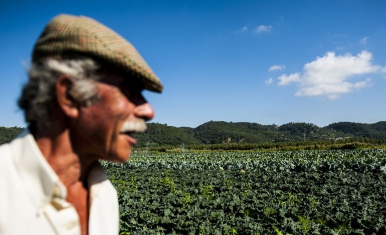 producao-atrasada-e-mais-custos-agricultores-a-espera-do-verao-8941