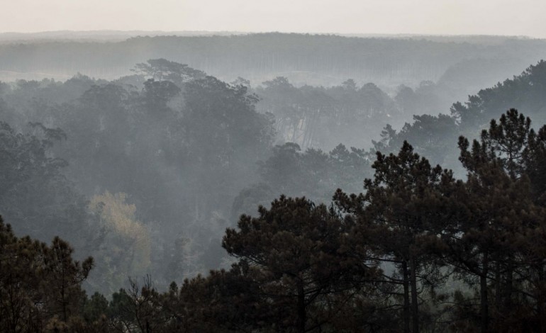 veja-as-imagens-aereas-da-serra-do-bouro-e-da-foz-do-arelho-destruidas-pelo-fogo-7357