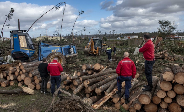 projectos-finalistas-do-sos-bairro-ajudara-a-reerguer-leiria-e-marinha-grande