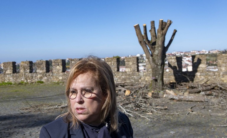 Segundo Anabela Graça, caíram 30 árvores de grande porte e outras ficaram amputadas