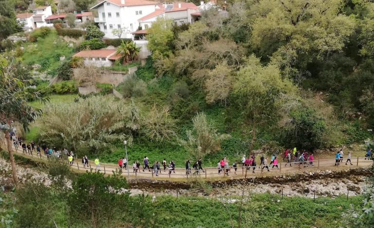 leiria-esta-mudada-e-enche-a-serra-com-1700-caminhantes