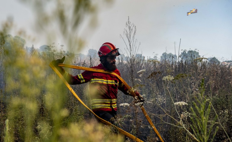 fogo-em-freixianda-arde-com-intensidade-ha-mais-de-uma-hora