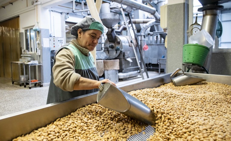 maceira-localidade-onde-a-tradicao-continua-a-dar-frutos-secos