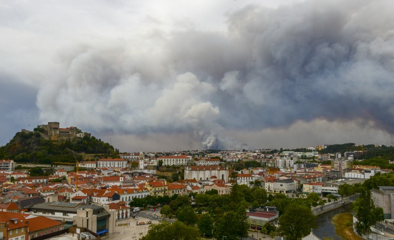 incendios-causaram-prejuizos-de-87-milhoes-no-concelho-de-leiria