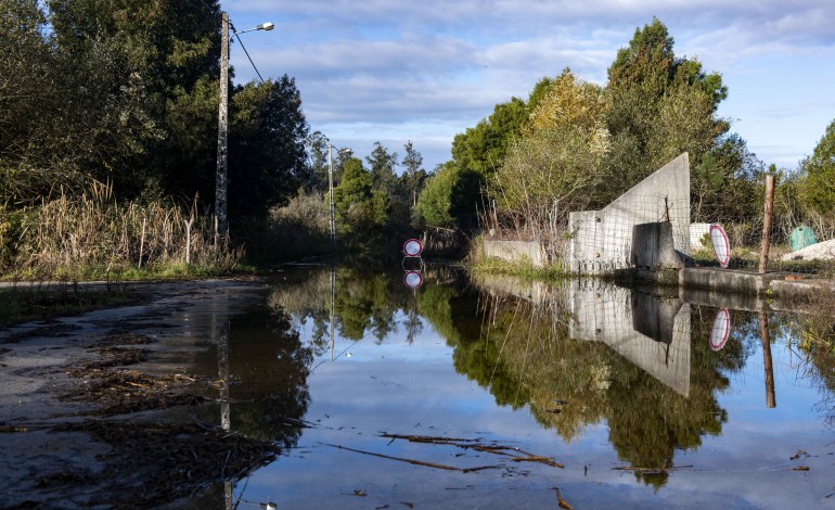 risco-para-a-saude-e-perdas-de-15-milhoes-preocupam-regantes-do-vale-do-lis