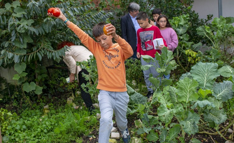 pequenos-agricultores-da-benedita-sao-embaixadores-da-economia-circular