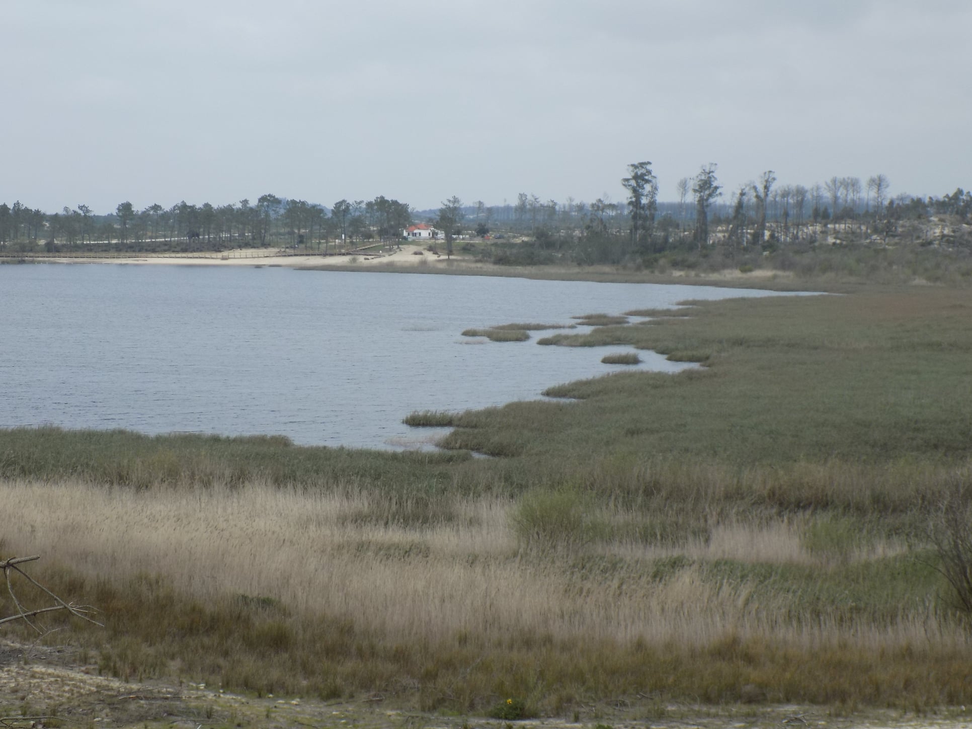 Lagoa da Ervedeira (Concelho de Leiria) Março de 2021