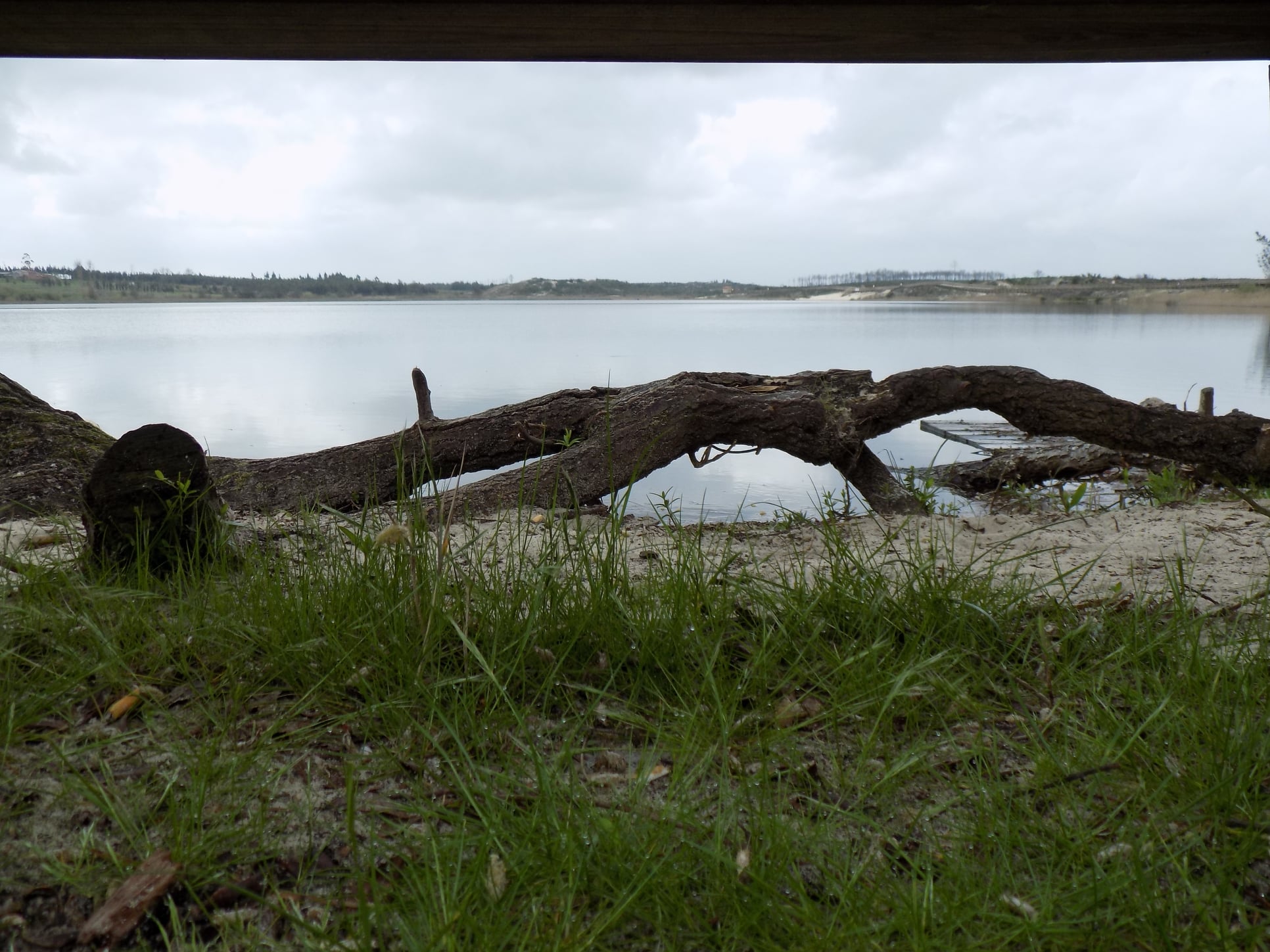 Lagoa da Ervedeira (Concelho de Leiria) Março de 2021