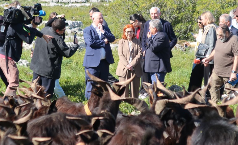 programa-de-apoio-ao-pastoreio-apresentado-em-porto-de-mos