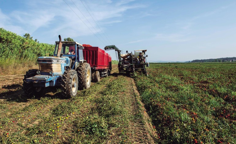 instituto-nacional-de-estatistica-esta-a-fazer-um-recenseamento-agricola-na-regiao