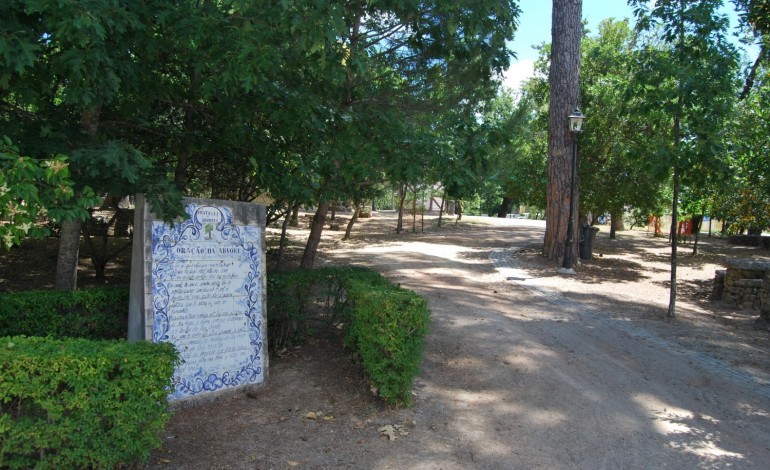 Mata Municipal de Ansião (Foto: CMA)