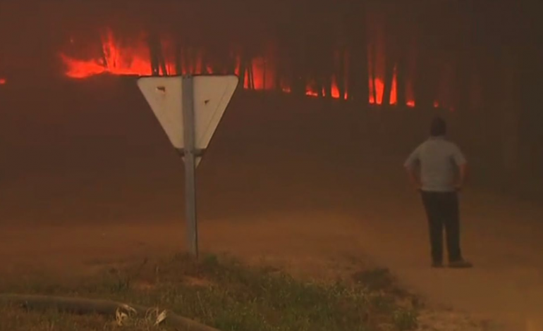 governo-confirma-57-mortos-no-incendio-de-pedrogao-grande-numero-pode-aumentar-6641