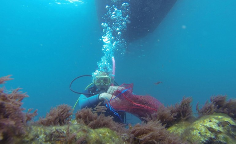 algas-invasoras-ameaca-nos-oceanos-oportunidade-no-prato-5987