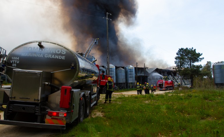 Fogo terá matado mais de 120 mil frangos