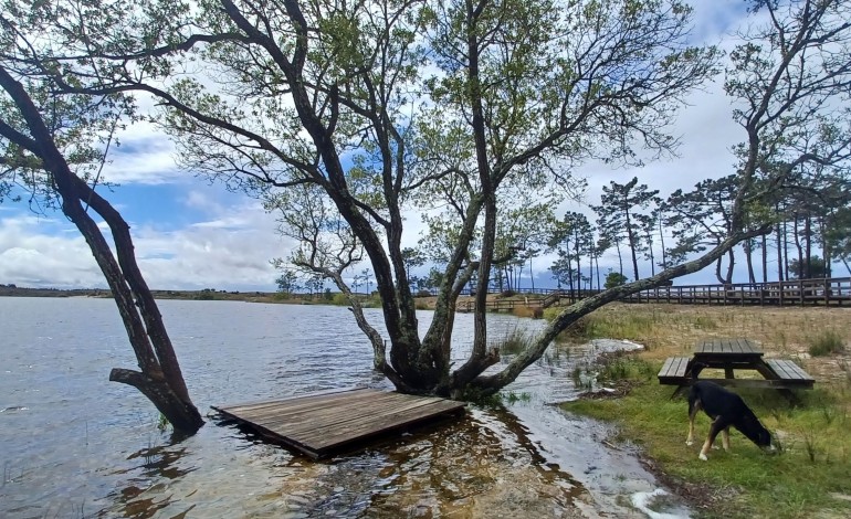 lagoa-da-ervedeira-atinge-cota-maxima-dos-ultimos-30-anos