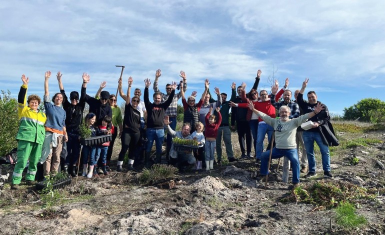 Voluntários aproveitaram a época mais propícia do ano para proceder à plantação de árvores