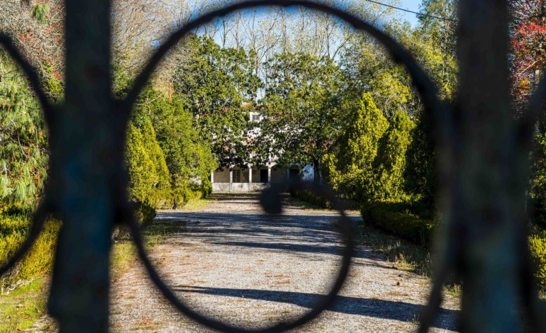 Parque do Engenho há anos à espera de Museu da Floresta