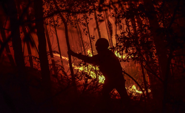 incendios-na-regiao-de-leiria-terao-consumido-12500-hectares