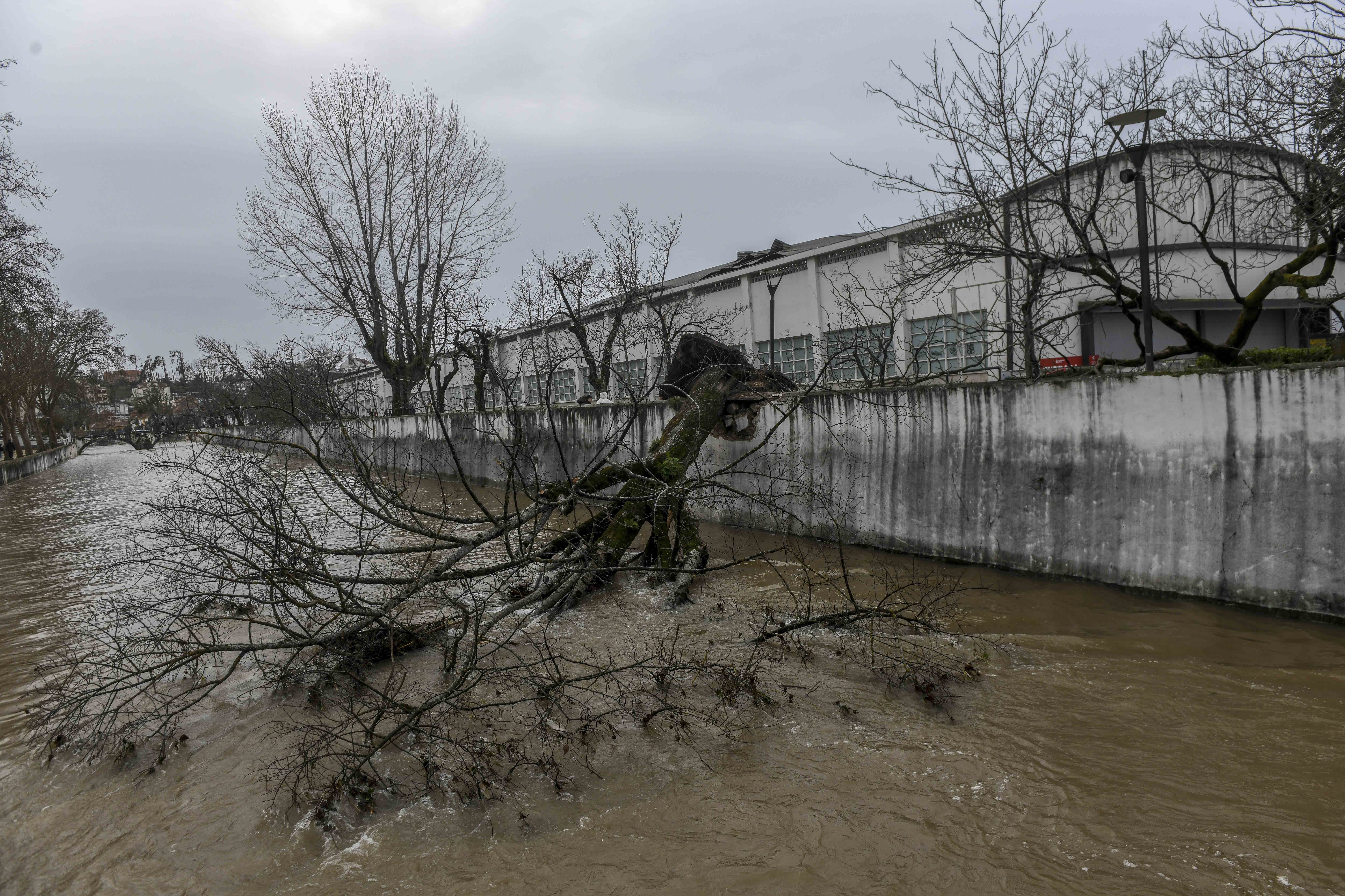Caos e destruição à passagem da Kristin pela região  Os prejuízos da passagem da depressão Kristin são incalculáveis e a cidade de Leiria poderá demorar um ano a recuperar do “cenário dantesco”, como apelidou Gonçalo Lopes. O presidente da Câmara de Leiria enumerou “danos materiais, sobretudo de fábricas, que ficaram sem coberturas”, “centenas de casas sem coberturas e fachadas, empresas, que tinham acabado de fazer obras e um jardim de infância que desapareceu na Coucinheira, em Amor”. Foram ainda registados estragos nas obras nas escolas D. Dinis e Afonso Lopes Vieira, que têm financiamento do Plano de Recuperação e Resiliência, “onde os andaimes caíram, as coberturas desapareceram e, portanto, em cima de obra” terá de ser realizada nova obra. O terminal rodoviário desabou e terá de mudar de lugar para o estacionamento junto ao Estádio de Leiria, onde também será erguido um centro de logística. Além destes estragos, o autarca sublinhou que a “recuperação da normalidade, irá demorar muitos dias”, advertindo que o “plano de recuperação irá demorar mais de um ano até ser reposta toda a normalidade”.  “Temos de facto um cenário desolador”, desabafou Gonçalo Lopes. Com a voz embargada, Paulo Vicente sublinhou que a Marinha Grande enfrenta um cenário de caos, referindo danos em casas e empresas, encontrando-se sem electricidade, comunicações ou água. “Está um caos, não há memória, nunca houve no concelho da Marinha Grande uma destruição tão grande como esta”, afirmou aos jornalistas, adiantando que “o concelho está isolado do mundo”. “Não temos comunicações, não temos electricidade, não temos água”, acrescentando que os restaurantes e apoios de praia desapareceram na Vieira de Leiria.