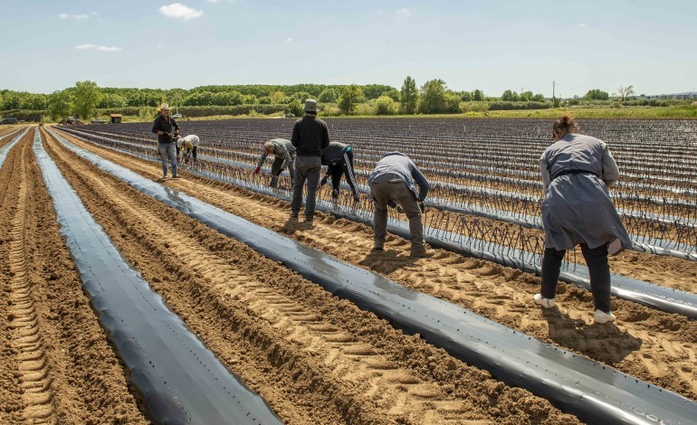 agricultores-de-leiria-temem-racionamento-de-agua-devido-a-seca