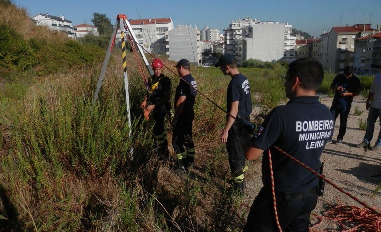 Fotografia: Bombeiros Municipais de Leiria