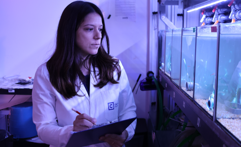 ana-rita-lopes-distinguida-com-medalha-para-mulheres-na-ciencia