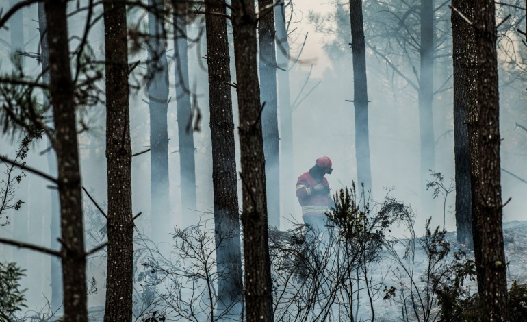 dominado-incendio-em-santa-catarina-da-serra