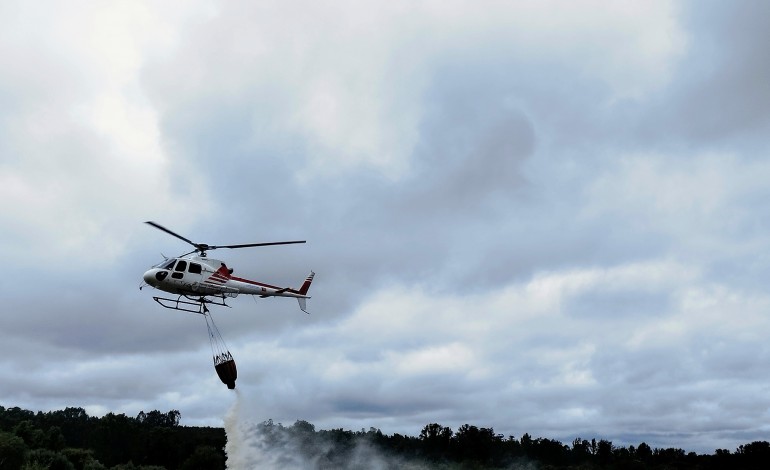 detida-mulher-de-68-anos-por-incendio-florestal-em-caldas-da-rainha