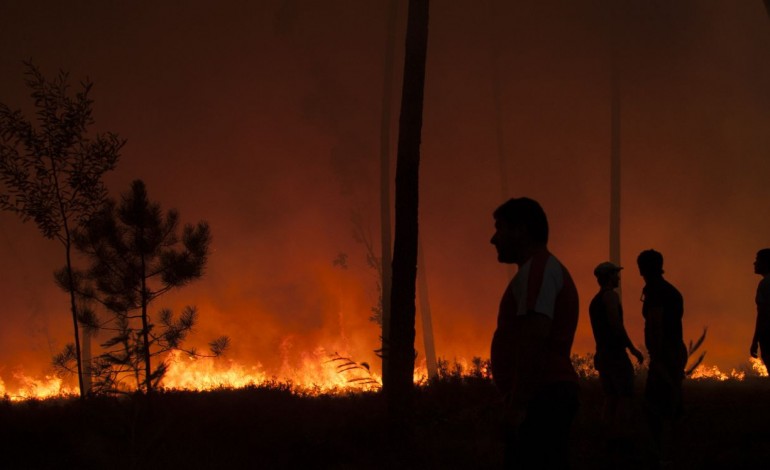 plataforma-electronica-gere-donativos-as-vitimas-do-incendio-de-pedrogao-grande-7124