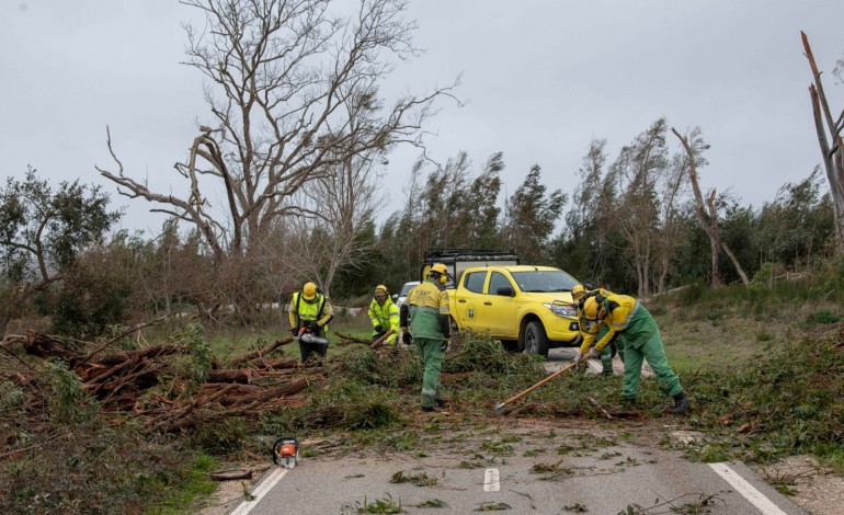 As equipas do ICNF já estão no terreno em operações de corte e limpeza