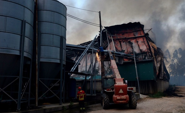 Aviário destruído pelas chamas em Urqueira, Ourém