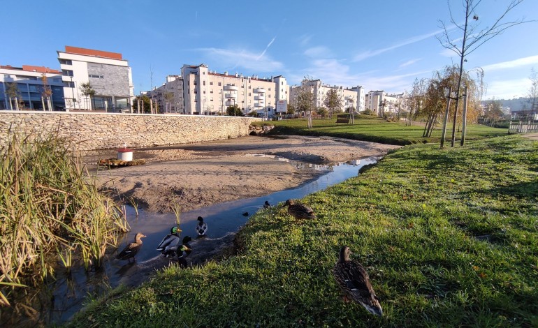 limpeza-no-largo-do-jardim-da-almuinha-em-leiria-para-evitar-cheias