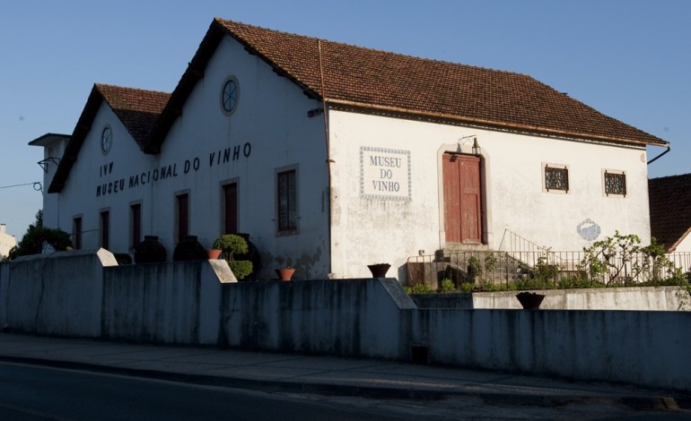 vinho-em-alcobaca-um-museu-que-e-tinto-e-branco-3963