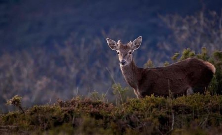 Fotografias: Armindo Ferreira