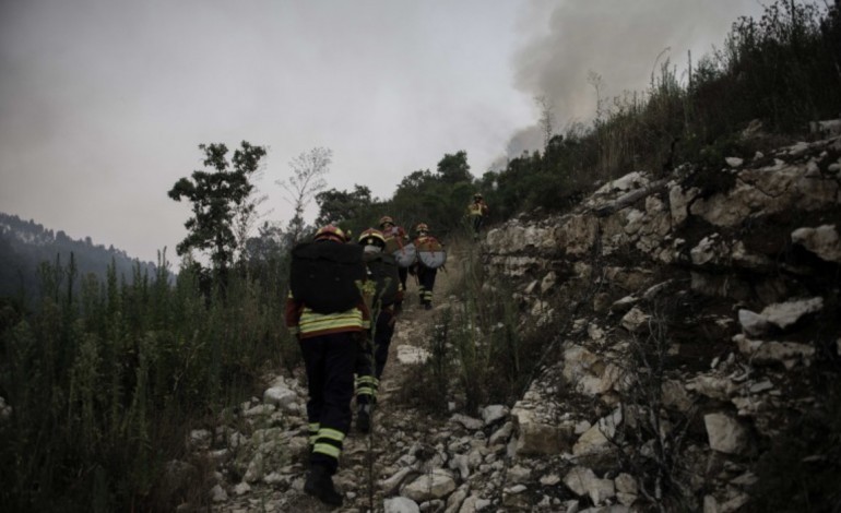 instituto-da-atmosfera-coloca-distrito-de-leiria-em-risco-elevado-de-incendio