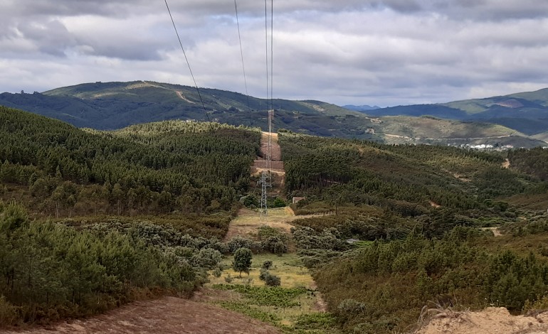 edp-distribuicao-investe-16-milhoes-de-euros-em-accoes-de-inspeccao-e-de-intervencao-junto-as-linhas-electricas