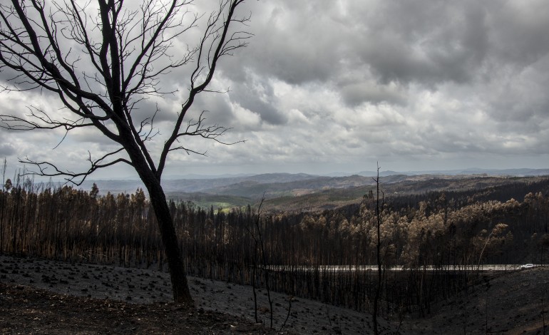 associacao-homenageia-vitimas-nove-anos-apos-incendios-de-pedrogao-grande