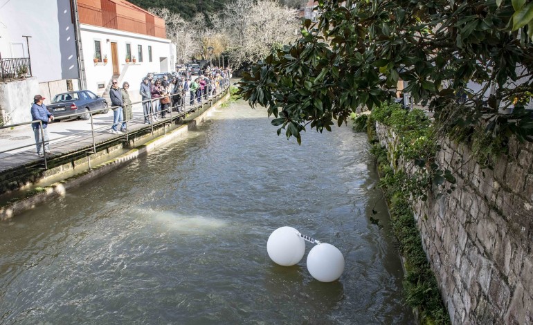 A instalação e performance de Andreas Trobollowitsch, na tarde de domingo, 9 de Março