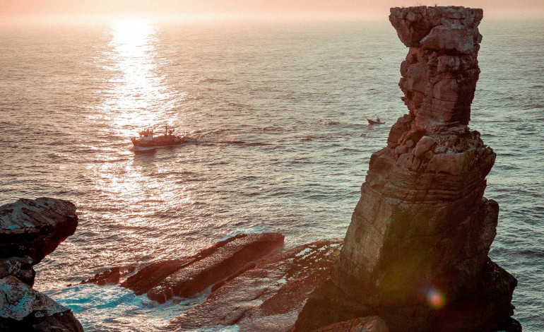 pequenos-e-graudos-aproveitam-mare-baixa-para-espreitar-vida-marinha