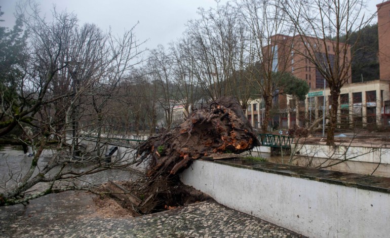 leiria-convida-voluntarios-a-ajudarem-a-limpar-a-cidade