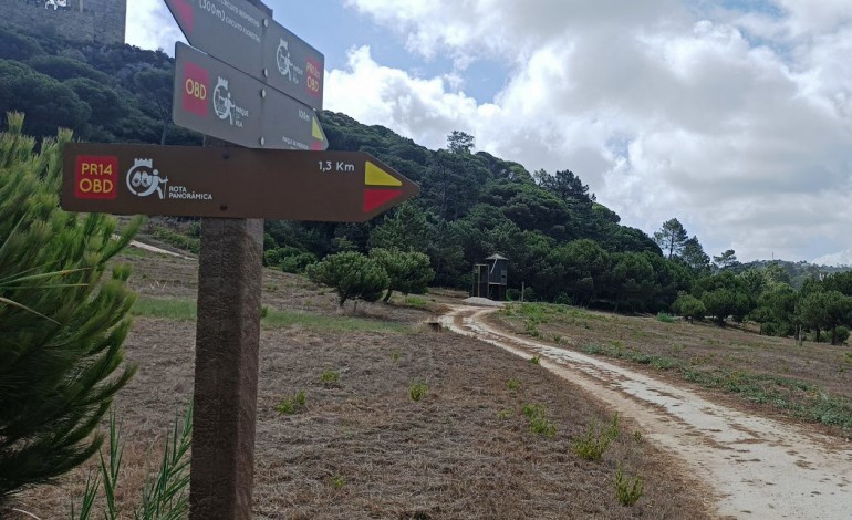 obidos-aumenta-extensao-de-percursos-pedestres-com-a-rota-panoramica-a-rota-dos-ginjais-e-o-caminho-de-santo-antao