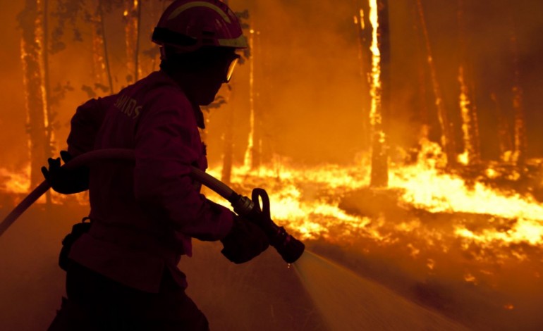 mais-de-cem-homens-combatem-incendio-em-ansiao-6264