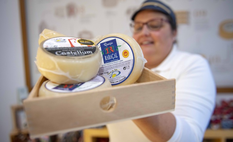 escasseiam-rebanhos-para-alimentar-producao-de-queijo-do-rabacal