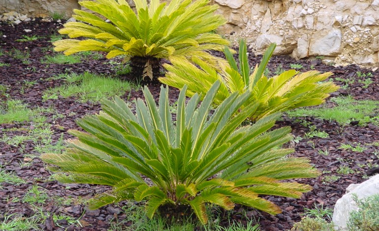 Monumento Natural das Pegadas de Dinossáurios da Serras de Aire