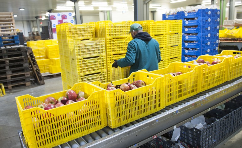 horarios-desfasados-e-controlo-de-temperatura-as-estrategias-das-empresa-para-continuar-a-produzir