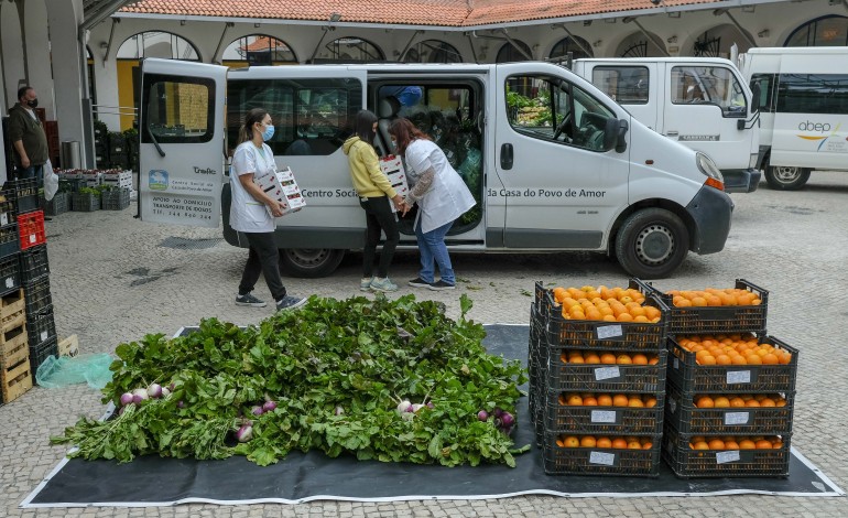 municipio-de-leiria-e-nerlei-oferecem-produtos-da-horta-a-ipss-do-concelho