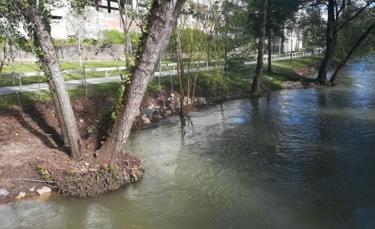 limpeza-nas-margens-do-rio-lis-criticada-pela-oikos-8524