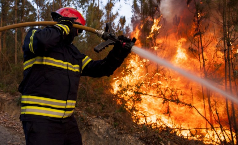 incendio-em-figueiro-dos-vinhos-mobiliza-quase-100-elementos-e-um-meio-aereo-6303